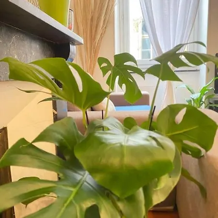 Le Jardin Secret De Nady *