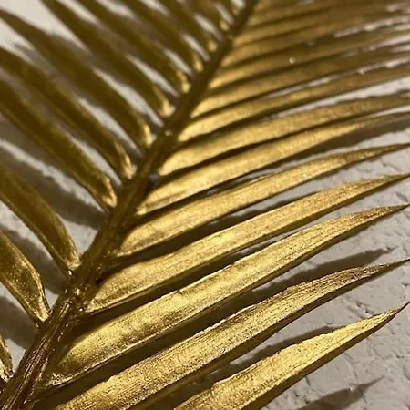 Le Jardin Secret De Nady *