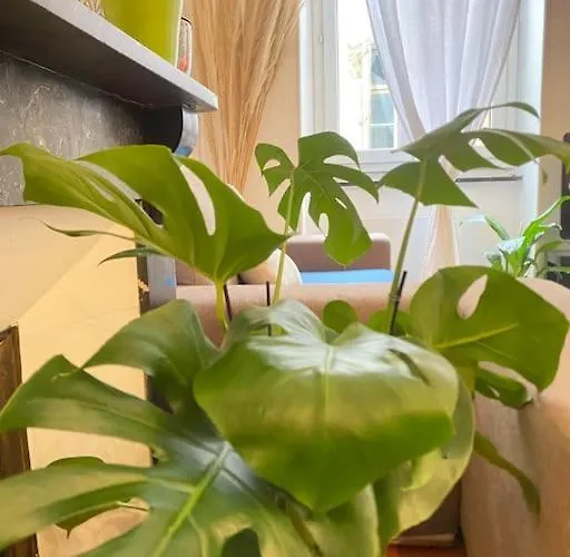 Le Jardin Secret De Nady *